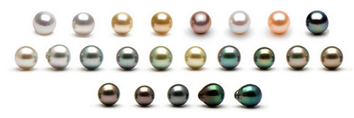 Цвета и разновидности