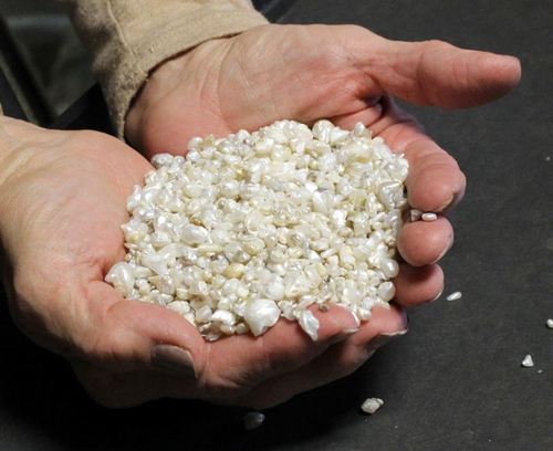 Речной жемчуг